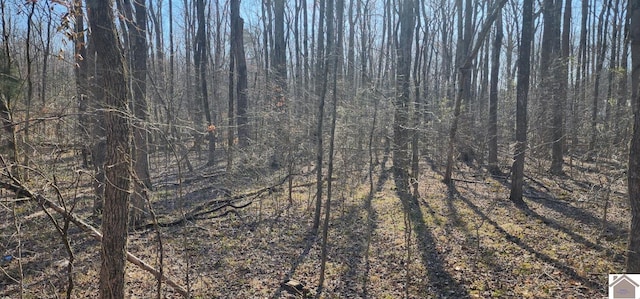 LOT422 Kurtz Dr, Murray, KY 42071