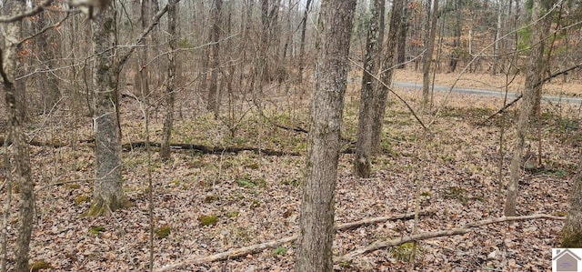 LOT422 Kurtz Dr, Murray, KY 42071