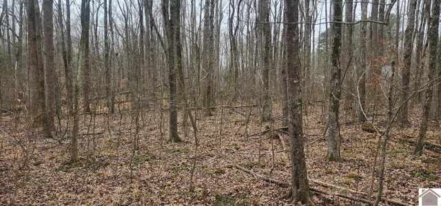 LOT422 Kurtz Dr, Murray, KY 42071