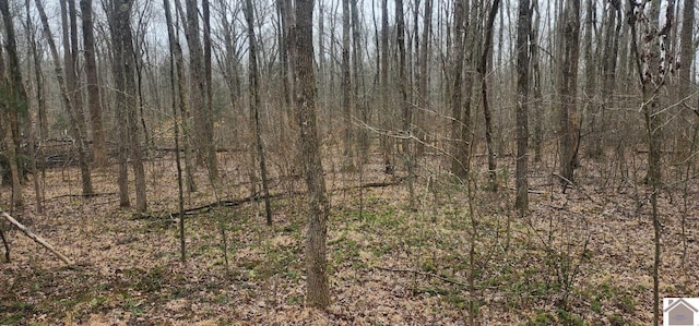 LOT422 Kurtz Dr, Murray, KY 42071
