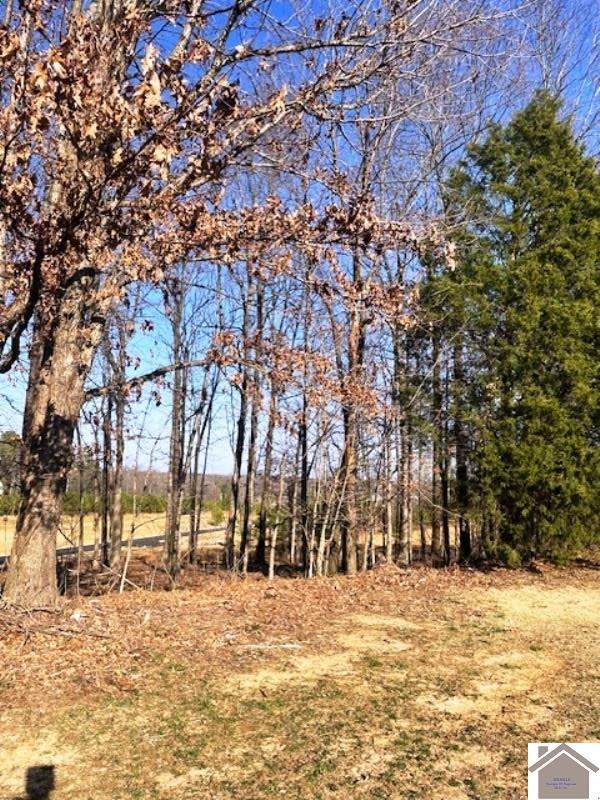LOT89 Forest Ridge Dr, Paducah, KY 42003