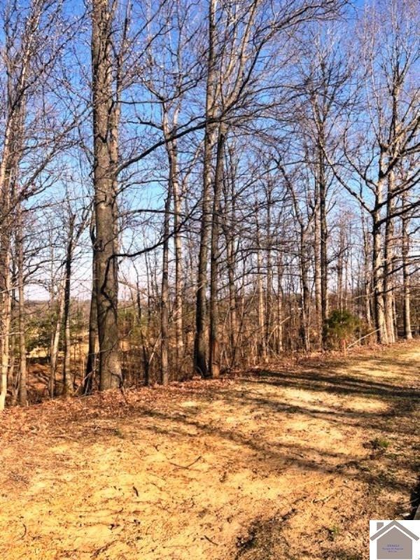 LOT89 Forest Ridge Dr, Paducah, KY 42003