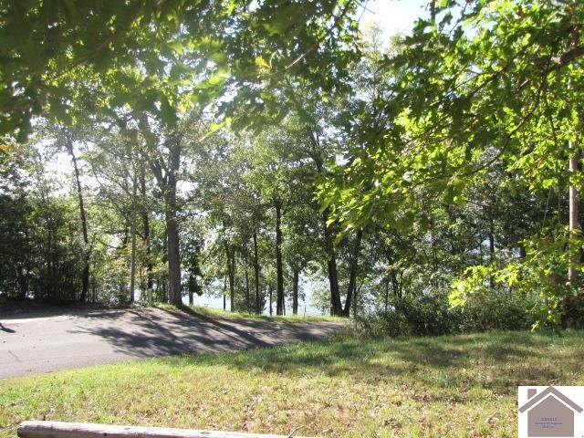 00 Parkersville Rd, Eddyville, KY 42038
