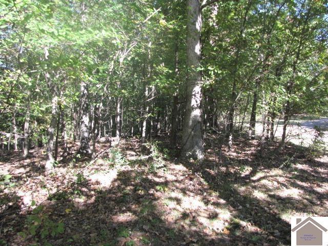 00 Parkersville Rd, Eddyville, KY 42038