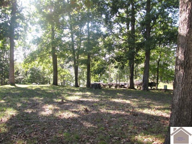 00 Parkersville Rd, Eddyville, KY 42038