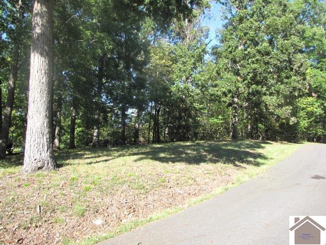 00 Parkersville Rd, Eddyville, KY 42038