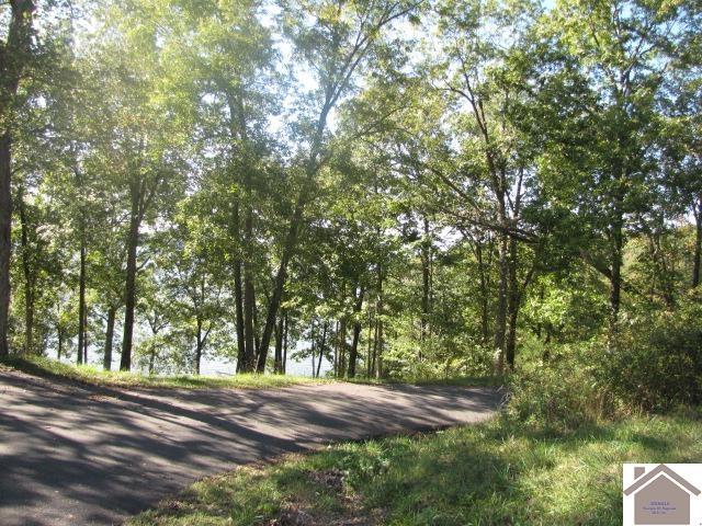 00 Parkersville Rd, Eddyville, KY 42038