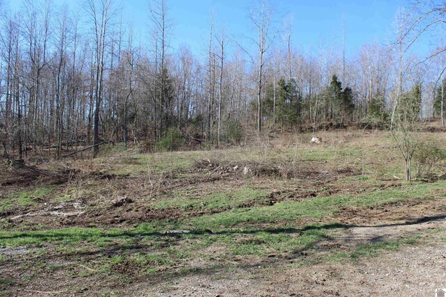 000 Hwy 93 S, Eddyville, KY 42038