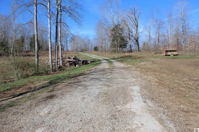 000 Hwy 93 S, Eddyville, KY 42038