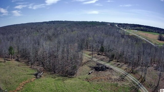 000 Hwy 93 S, Eddyville, KY 42038