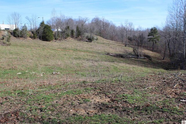 000 Hwy 93 S, Eddyville, KY 42038