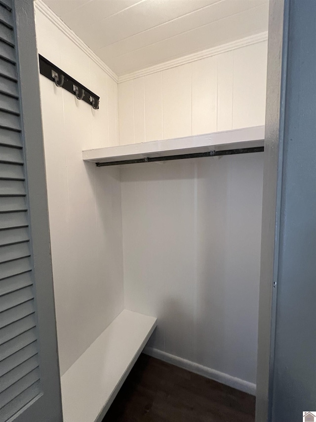 walk in closet featuring dark wood-style floors