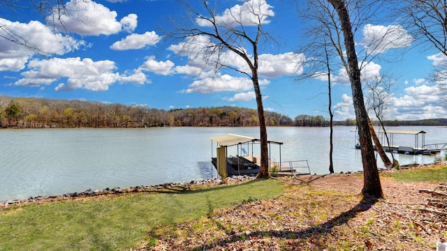 dock area featuring boat lift, a water view, and a view of trees