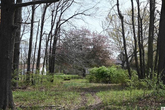 109 Powell, Benton, KY 42025