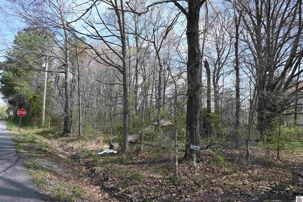 109 Powell, Benton, KY 42025