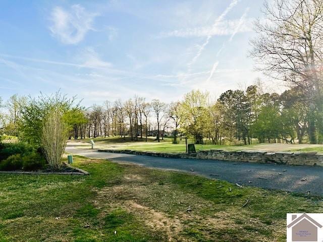 surrounding community featuring a yard