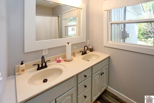 bathroom featuring wood finished floors, double vanity, and a sink