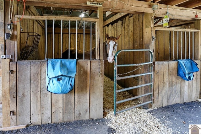 view of horse barn