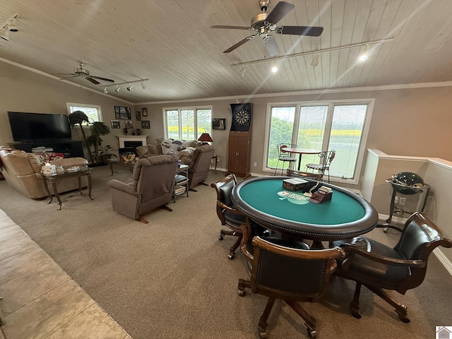 6060 State Route 94 W, Murray, KY 42071 - recreation room featuring rail lighting, wooden ceiling, ornamental molding, and ceiling fan