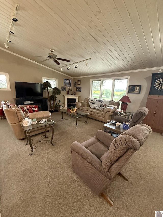 6060 State Route 94 W, Murray, KY 42071 - living room with rail lighting, a fireplace, carpet flooring, and wooden ceiling