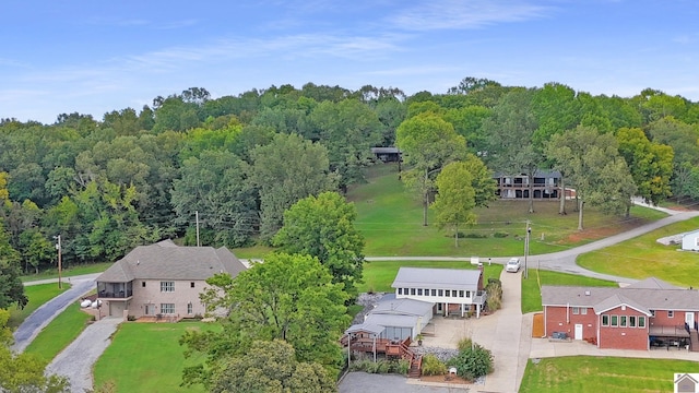 201 Blue River Rd, Cadiz, KY 42211 - aerial view