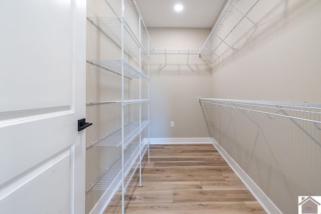 102 Ironwood Dr, Murray, KY 42071 - walk in closet with light wood-type flooring