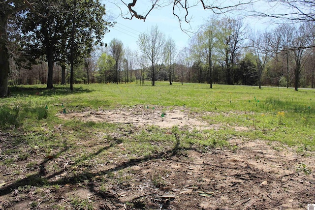 view of yard with a view of trees