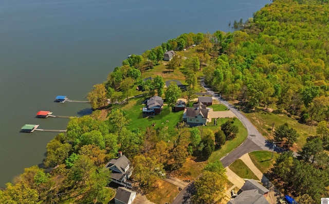 435 Patricia Dr, New Concord, KY 42076 - drone / aerial view of a forest and a large body of water