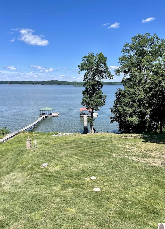 435 Patricia Dr, New Concord, KY 42076 - water view