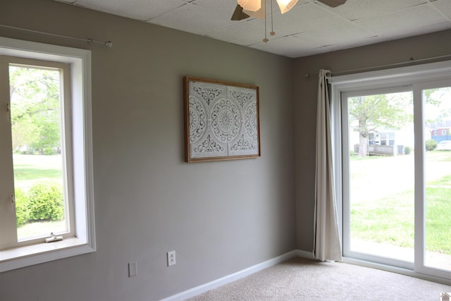 316 S 13th St, Murray, KY 42071 - carpeted empty room with a wealth of natural light, a ceiling fan, a drop ceiling, and baseboards