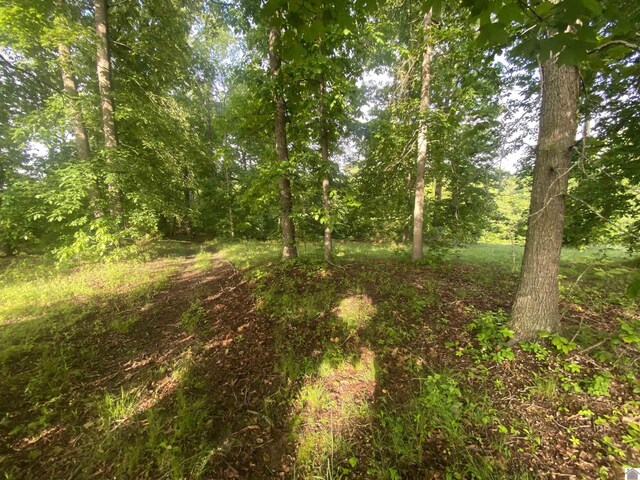 020 Cayuga Dr, Cadiz, KY 42211