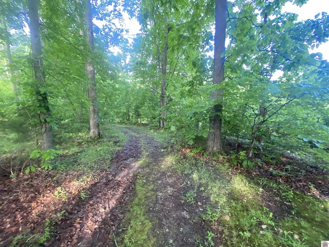 020 Cayuga Dr, Cadiz, KY 42211
