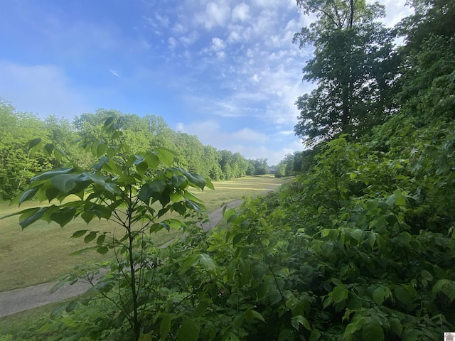 020 Cayuga Dr, Cadiz, KY 42211