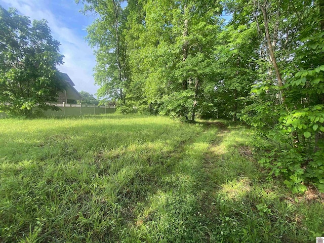 020 Cayuga Dr, Cadiz, KY 42211