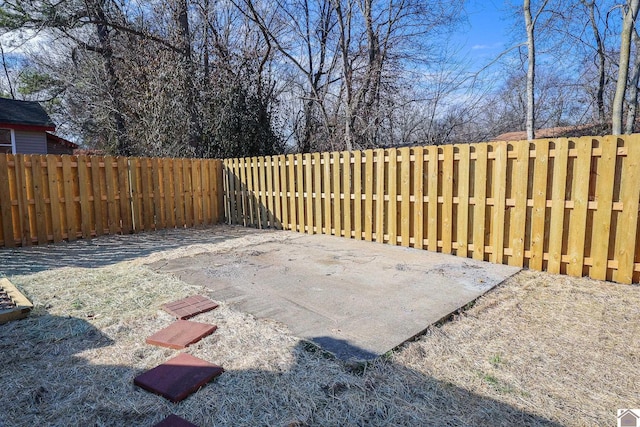 view of yard featuring a fenced backyard and a patio area