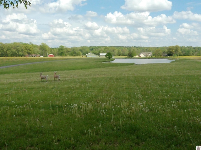 view of property's community featuring a yard and a water view