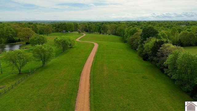 846 Rudolph Rd, Dexter, KY 42036 - aerial view of sparsely populated area featuring a nearby body of water