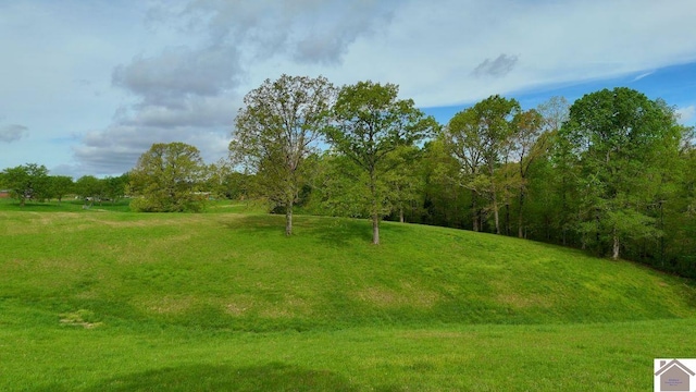 846 Rudolph Rd, Dexter, KY 42036 - view of home's community featuring a yard