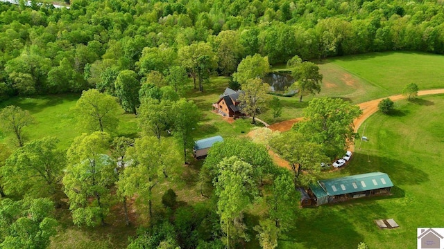 846 Rudolph Rd, Dexter, KY 42036 - aerial view of sparsely populated area featuring a heavily wooded area