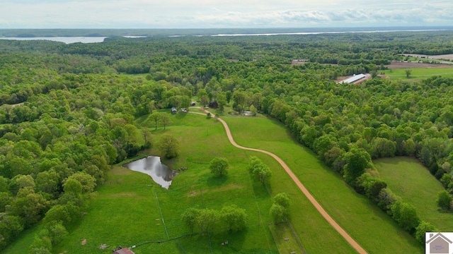 846 Rudolph Rd, Dexter, KY 42036 - bird's eye view of a forest and a large body of water