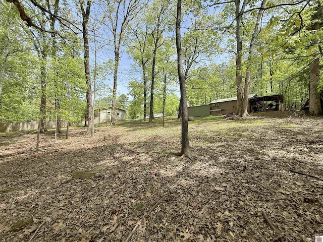 124 Miller Ln, Gilbertsville, KY 42044 - view of yard