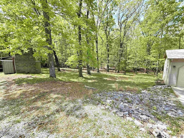 124 Miller Ln, Gilbertsville, KY 42044 - view of yard with an outdoor structure
