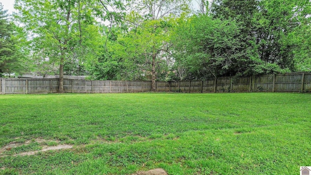 view of yard with a fenced backyard