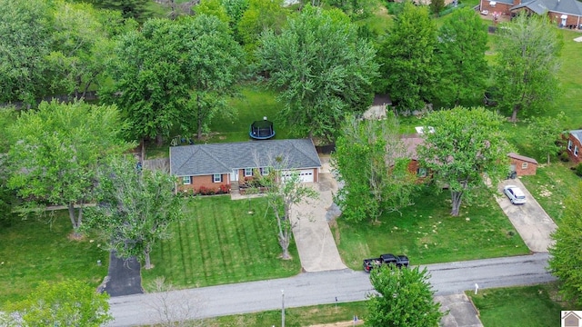 bird's eye view