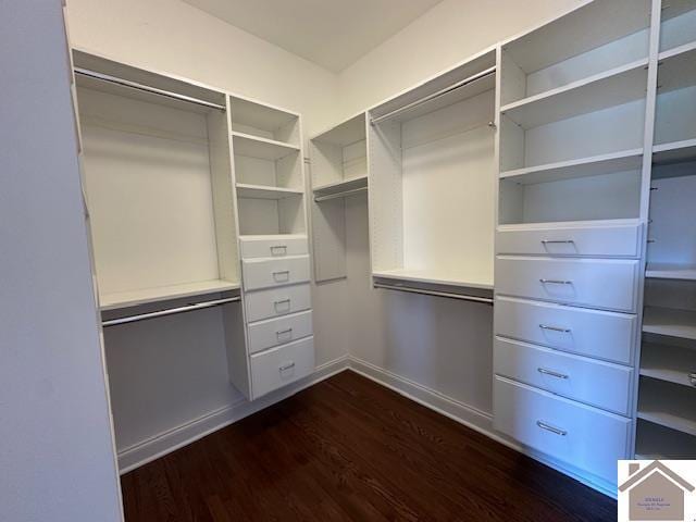57 Rippling Creek Dr, Murray, KY 42071 - walk in closet with dark wood finished floors