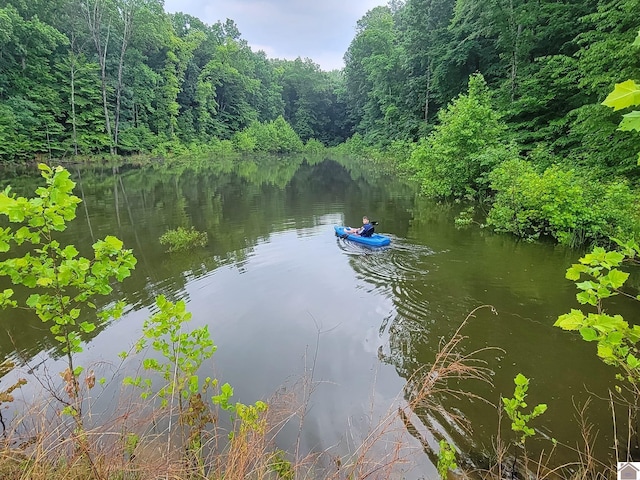 property view of water featuring a forest view