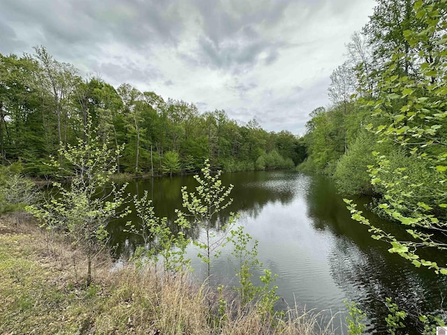 property view of water featuring a view of trees