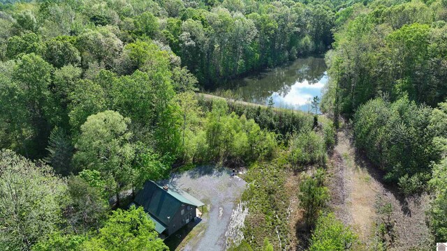 bird's eye view with a water view and a view of trees