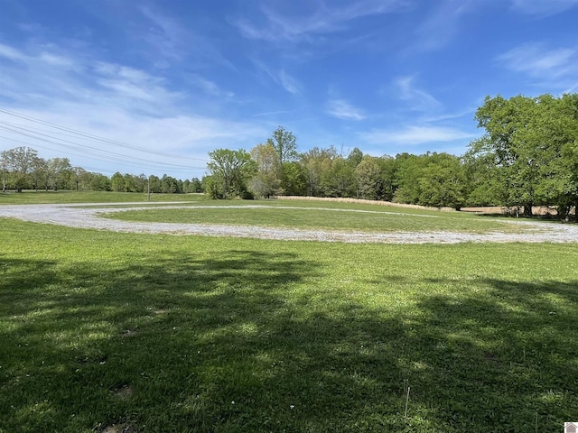 11189 E State Route 94, Murray, KY 42071 - surrounding community with a lawn