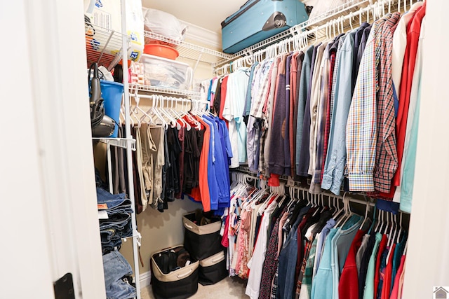 view of spacious closet